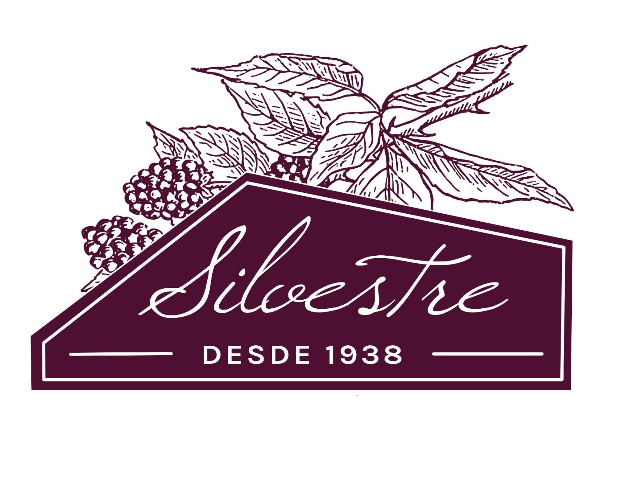 Alojamento Funchal - Silvestre House Zewnętrze zdjęcie