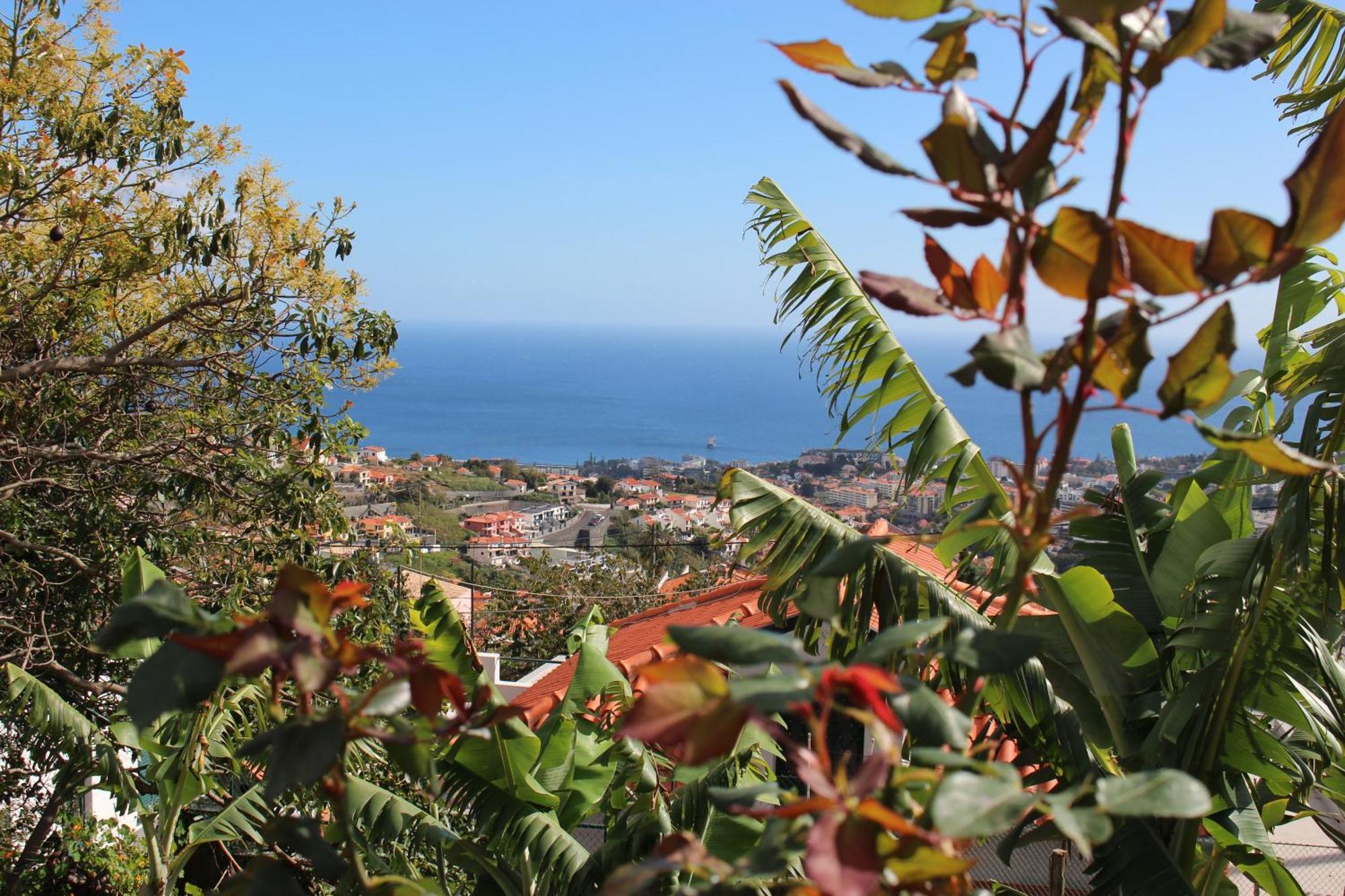 Alojamento Funchal - Silvestre House Zewnętrze zdjęcie